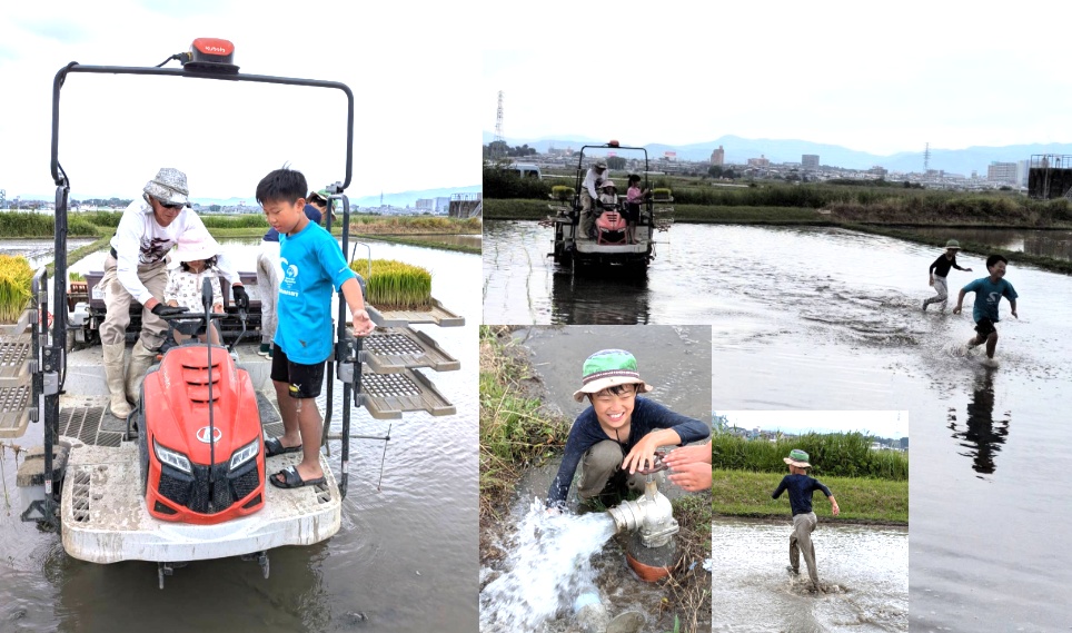 【開催報告】泥んこ笑顔が弾ける！田植え体験イベントを実施しました🌾